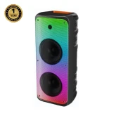 Vision Party Speaker Party Go
